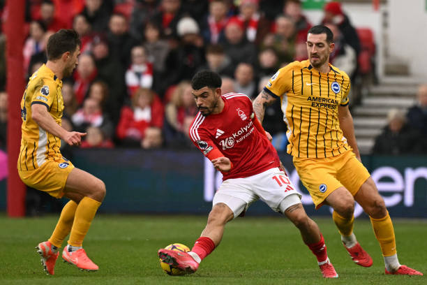 我们见证的 我们见证的